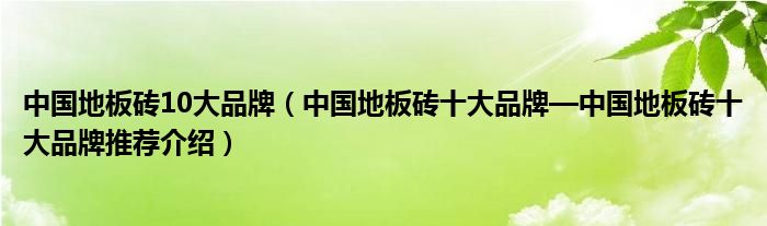 cq9电子平台网站：中国地板砖10大品牌（中国地板砖十大品牌—十推荐介绍）(图1)